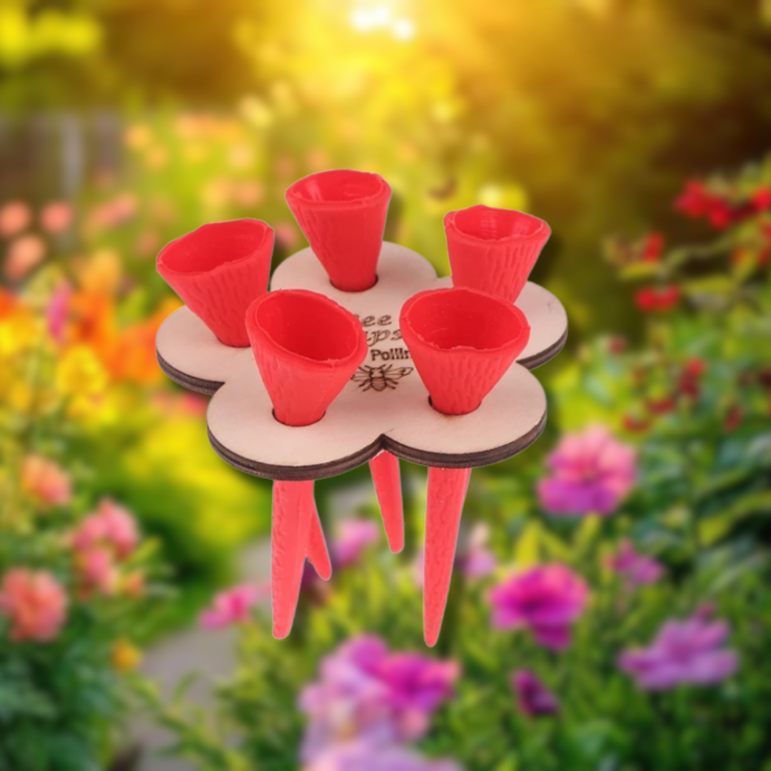 BiOas™ – Pequeno lugar de água, grande diferença